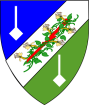 Arms Image